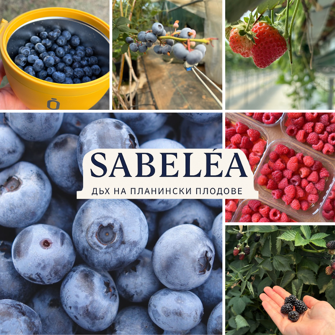 Blue Photo Collage Blueberries Instagram Post